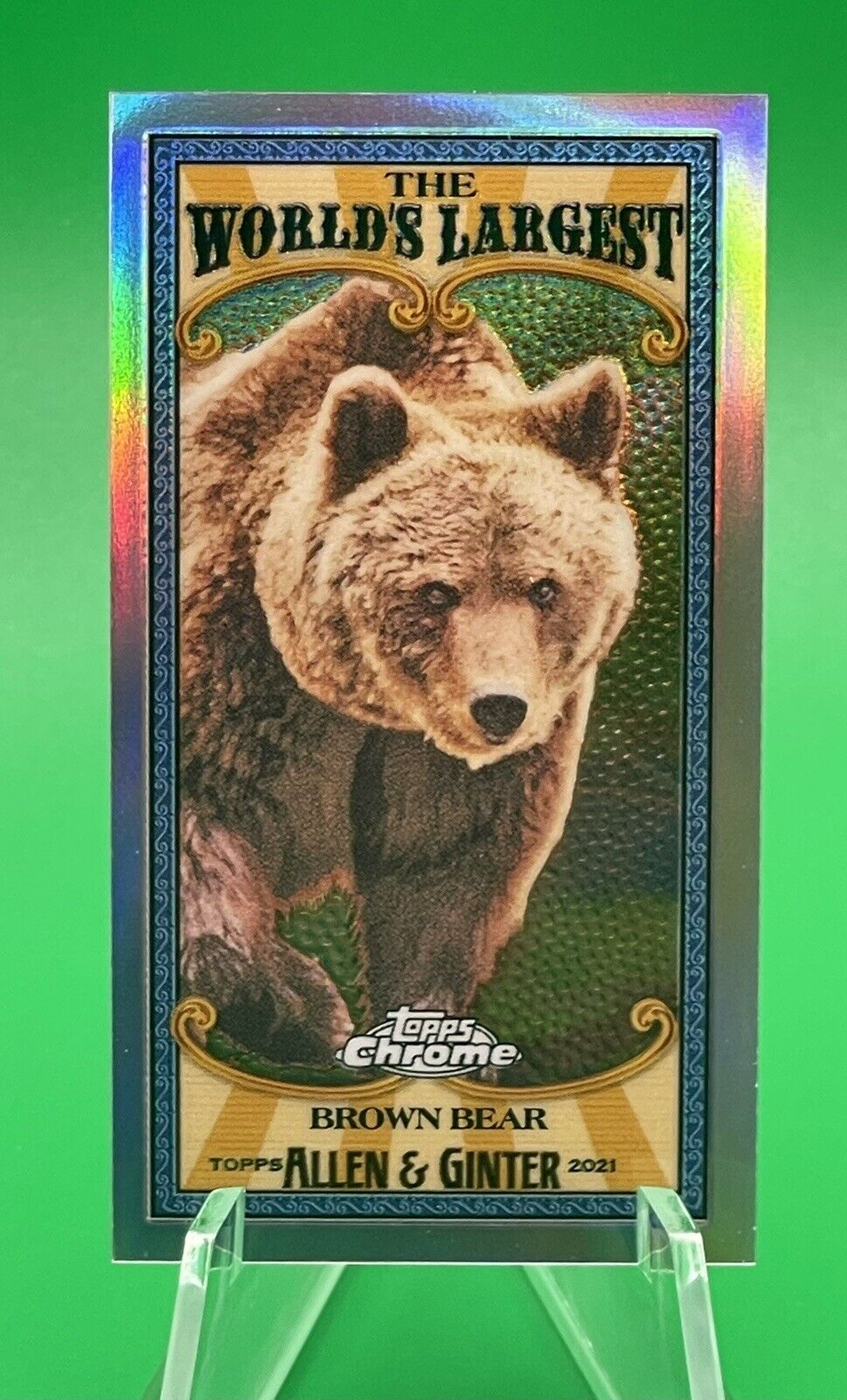 2021 Topps Allen & Ginter Chrome The World’s Largest BROWN BEAR Mini Refractor