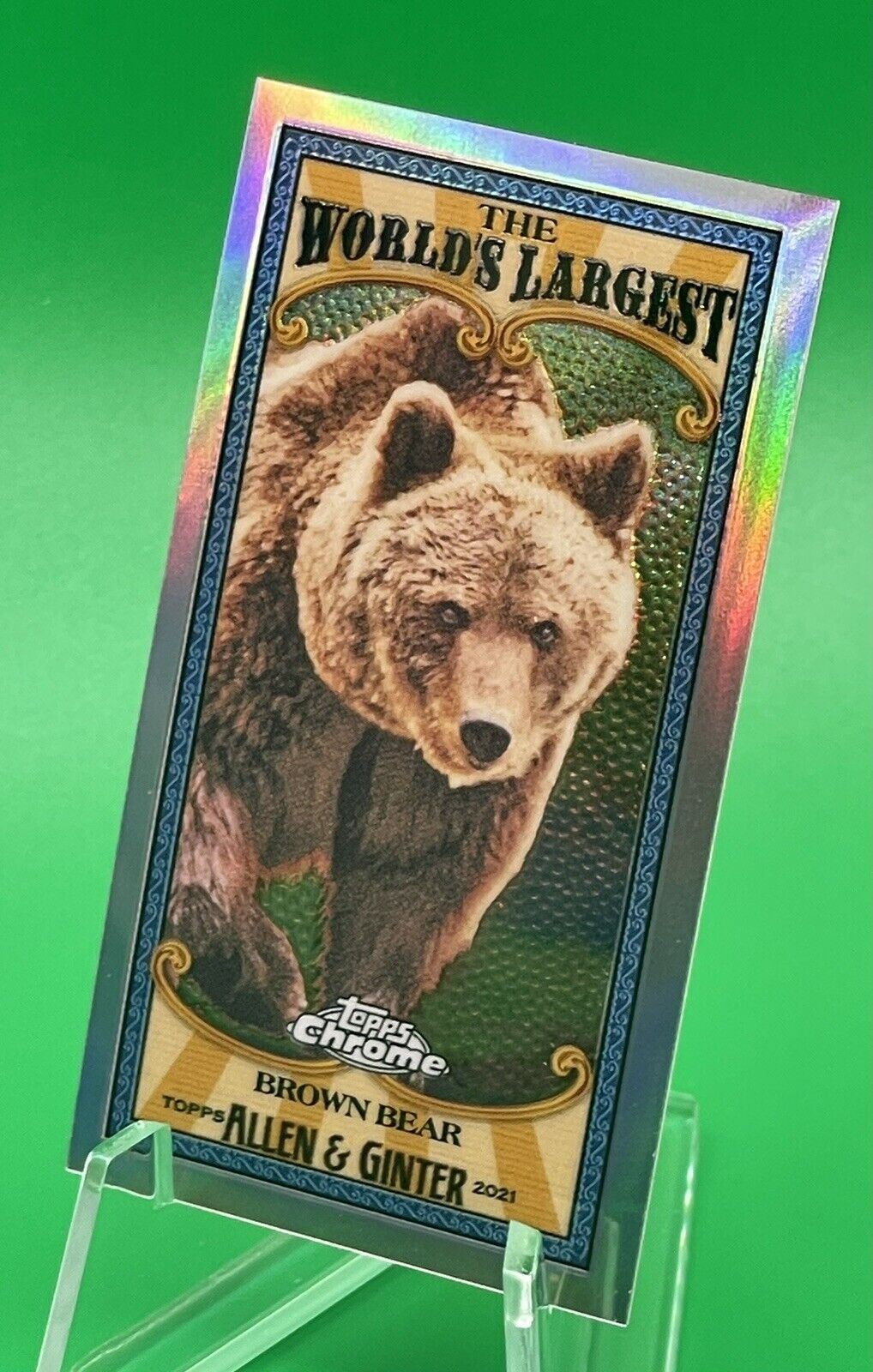 2021 Topps Allen & Ginter Chrome The World’s Largest BROWN BEAR Mini Refractor